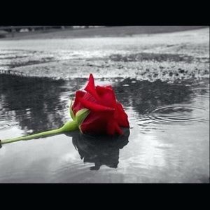 Meet your Posher, Mayra medina